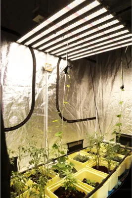 실내 식물을위한 전체 스펙트럼 성장 수경 램프 바 방수 2019 성장 전구 양자 유도 LED 성장 빛